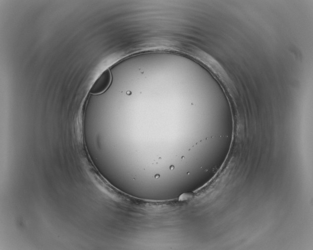 X0000111791242200908061130