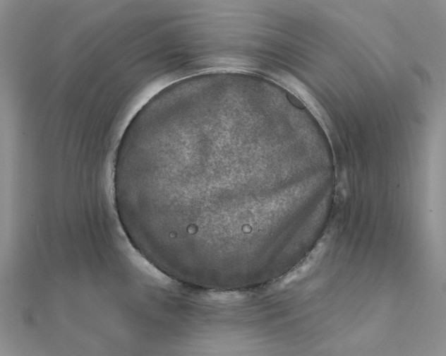 X0000111791243200908061130