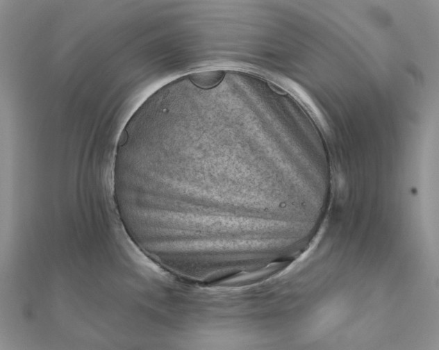 X0000111791244200908061130