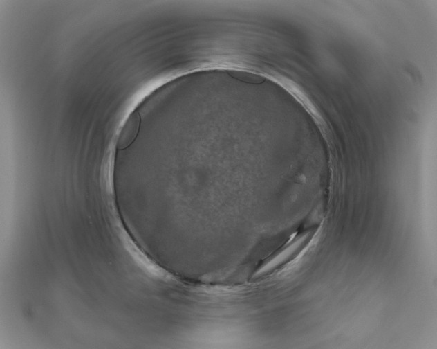 X0000111791246200908061130