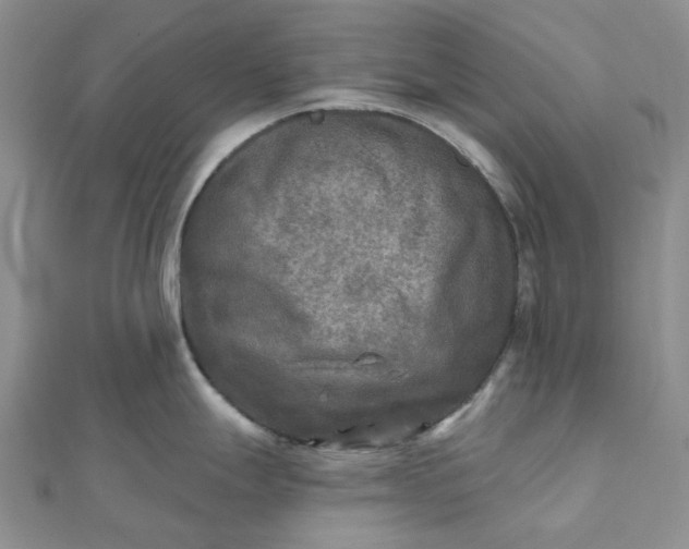 X0000111791247200908061130