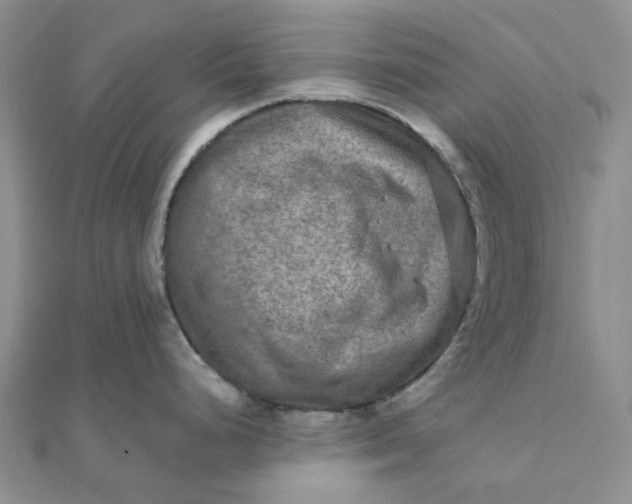 X0000111791248200908061130