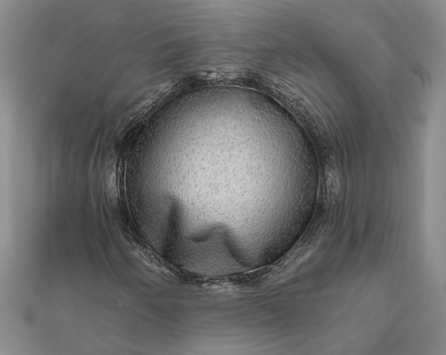 X0000111791250200908061129