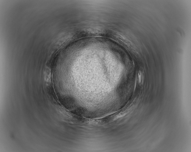 X0000111791251200908061129