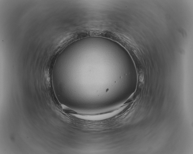 X0000111791252200908061129