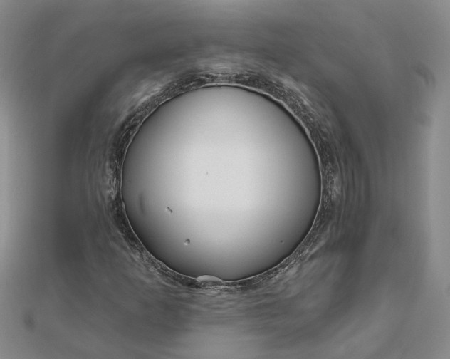 X0000111791253200908061129