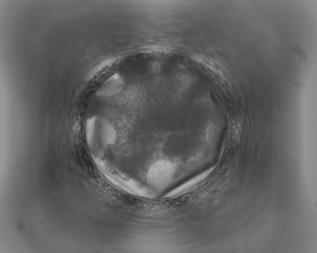 X0000111791254200908061129