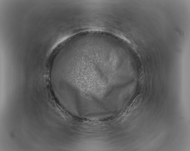 X0000111791255200908061129