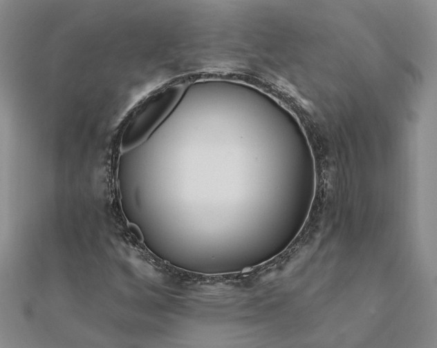 X0000111791256200908061129