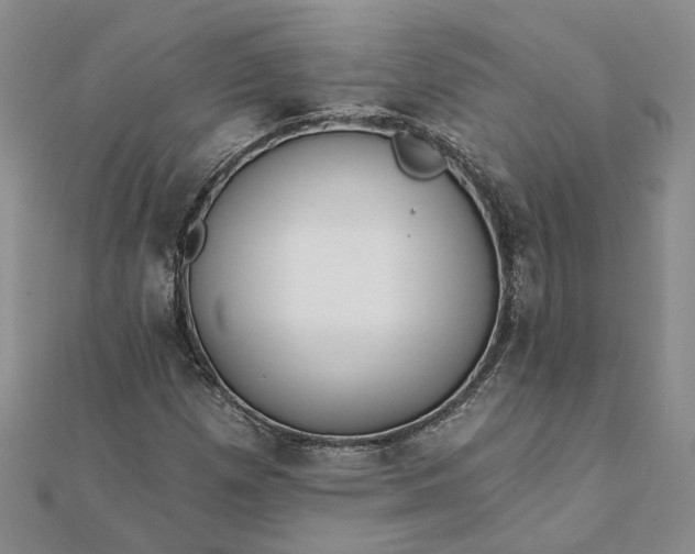 X0000111791257200908061129