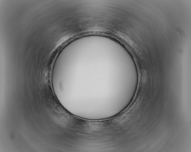 X0000111791258200908061129