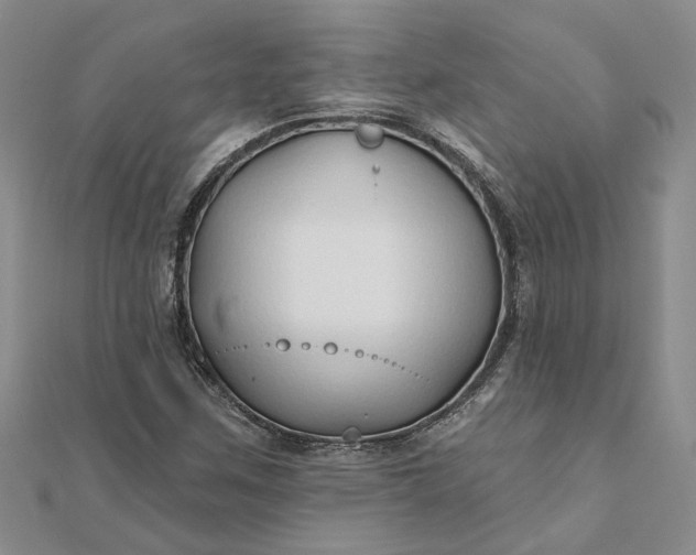 X0000111791259200908061129