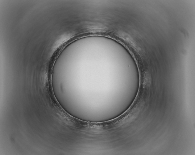 X0000111791261200908061129