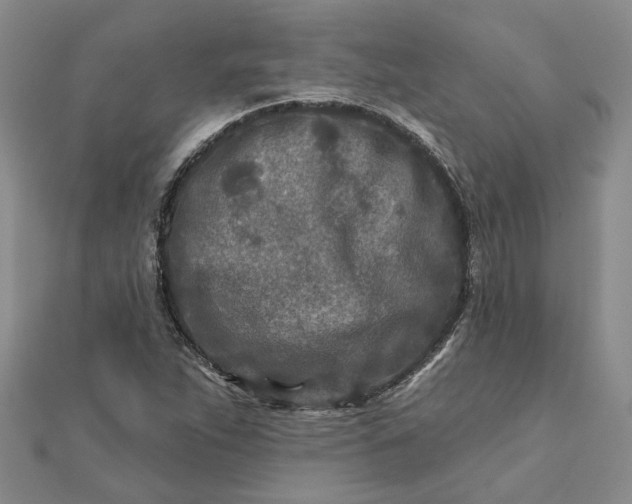 X0000111791263200908061129