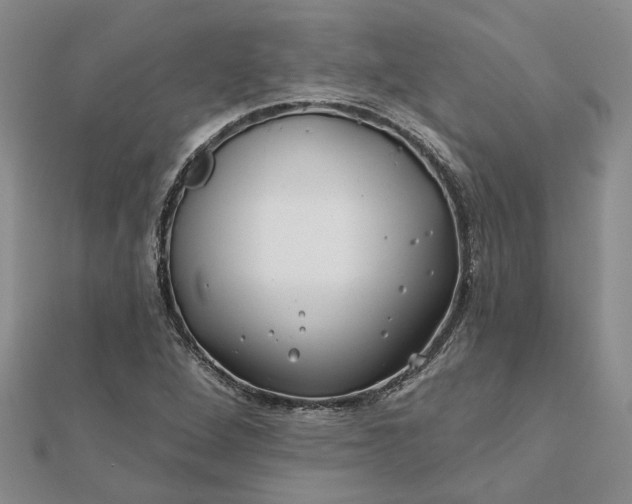 X0000111791264200908061129