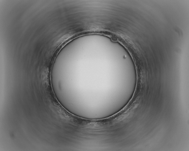 X0000111791265200908061129