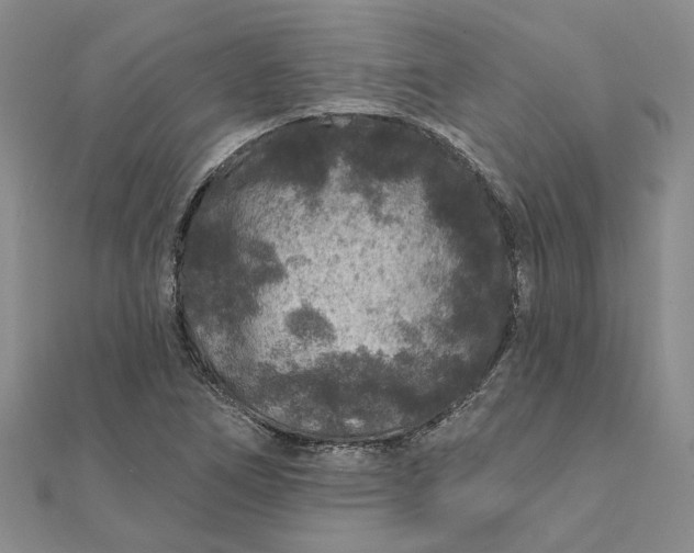 X0000111791266200908061129