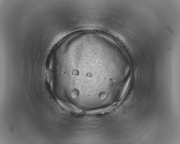 X0000111791267200908061129