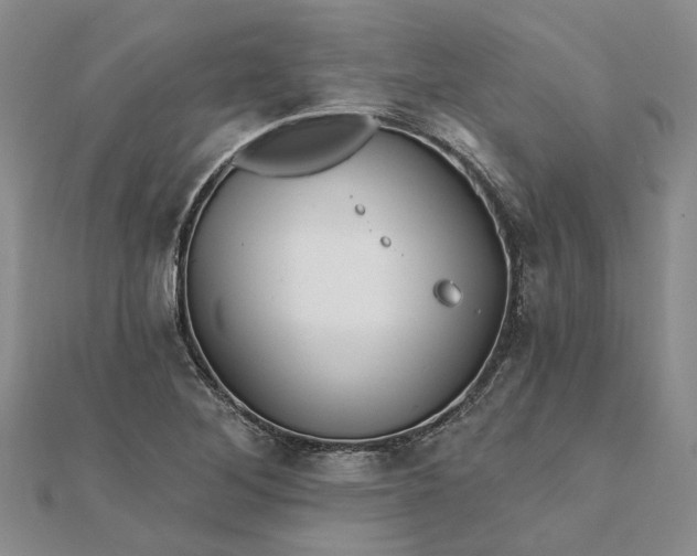 X0000111791268200908061129