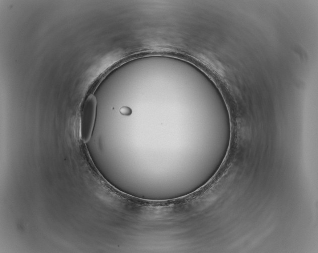 X0000111791269200908061129