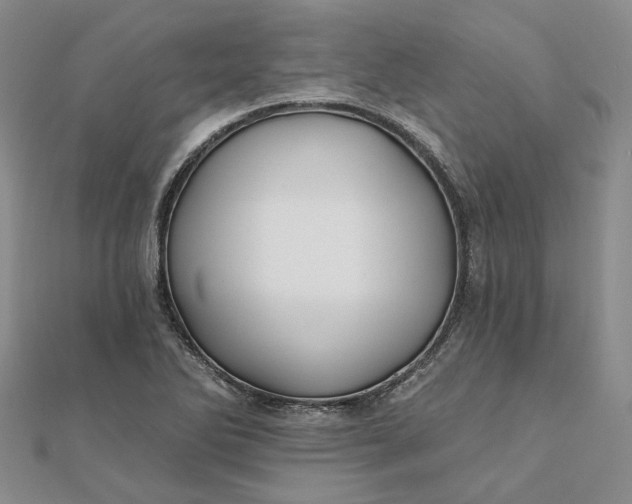 X0000111791270200908061129