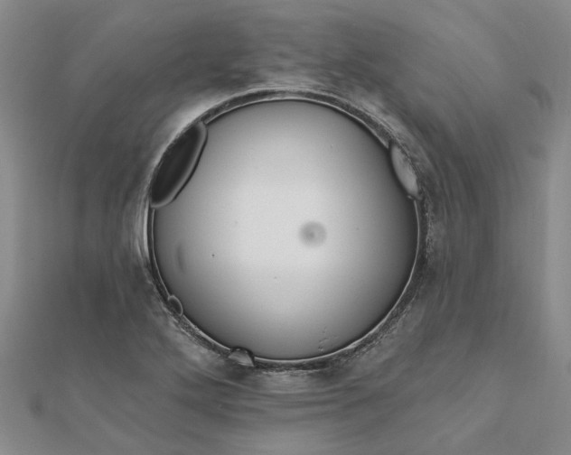 X0000111791272200908061129