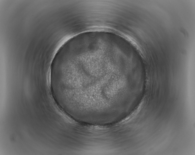 X0000111791275200908061129