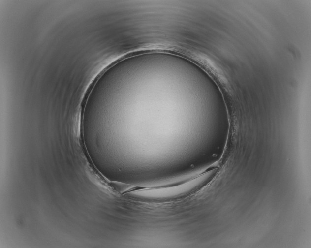 X0000111791276200908061129