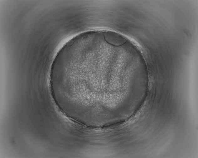 X0000111791279200908061129