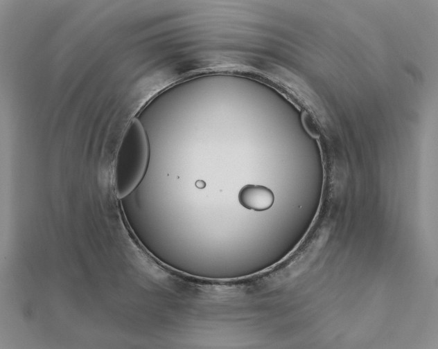 X0000111791281200908061129