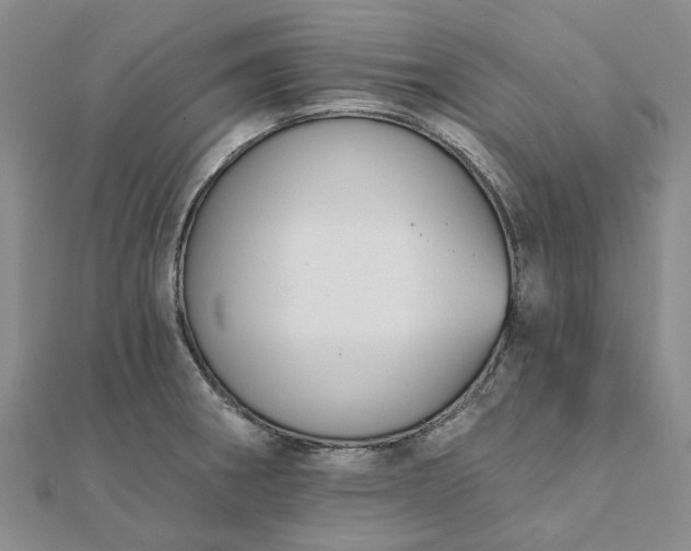 X0000111791282200908061129