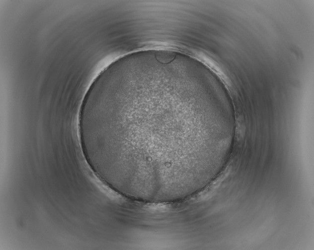 X0000111791283200908061129