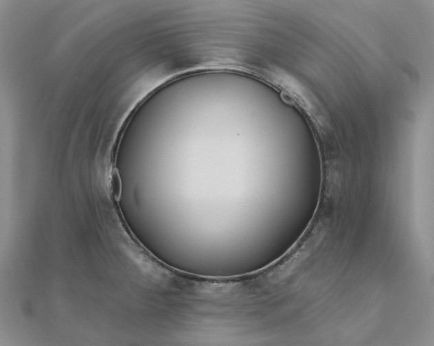 X0000111791284200908061129