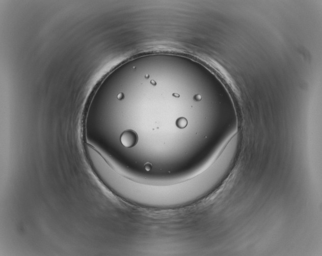 X0000111791285200908061129