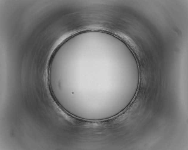 X0000111791286200908061128