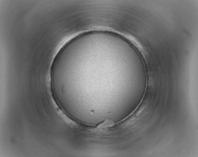 X0000111791287200908061128