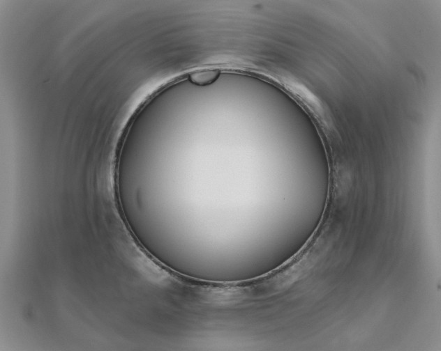 X0000111791288200908061128