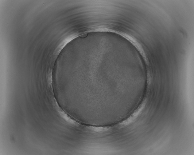 X0000111791289200908061128