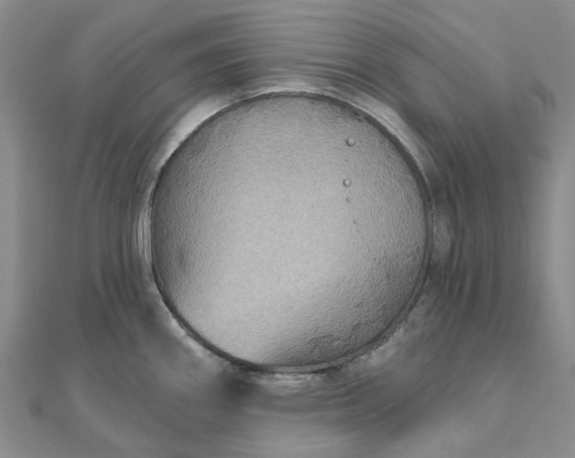 X0000111791290200908061128