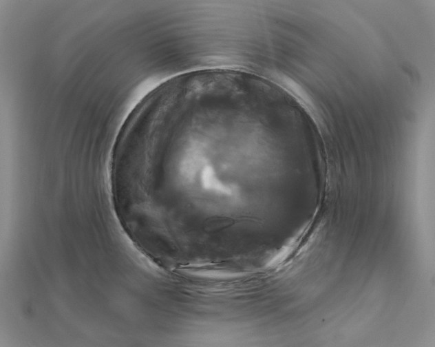 X0000111791291200908061128