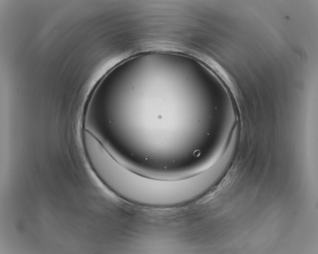 X0000111791293200908061128