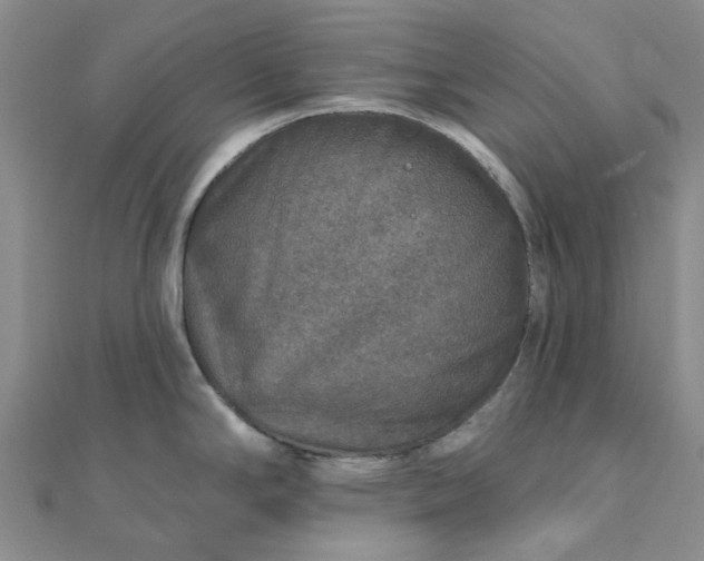 X0000111791294200908061128