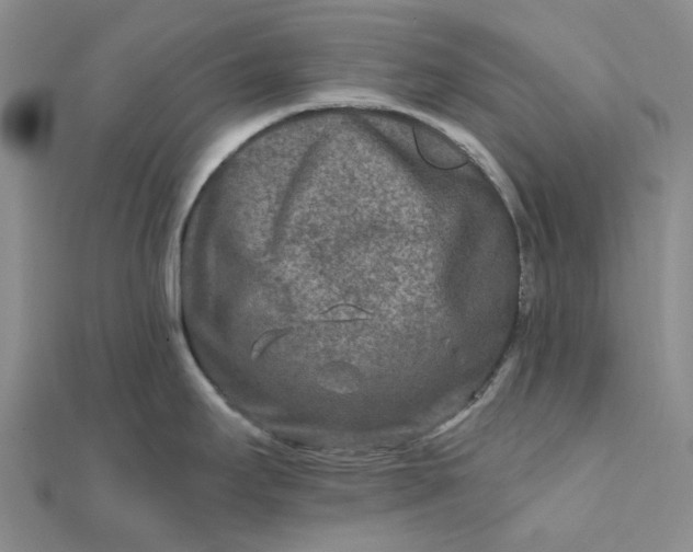 X0000111791295200908061128