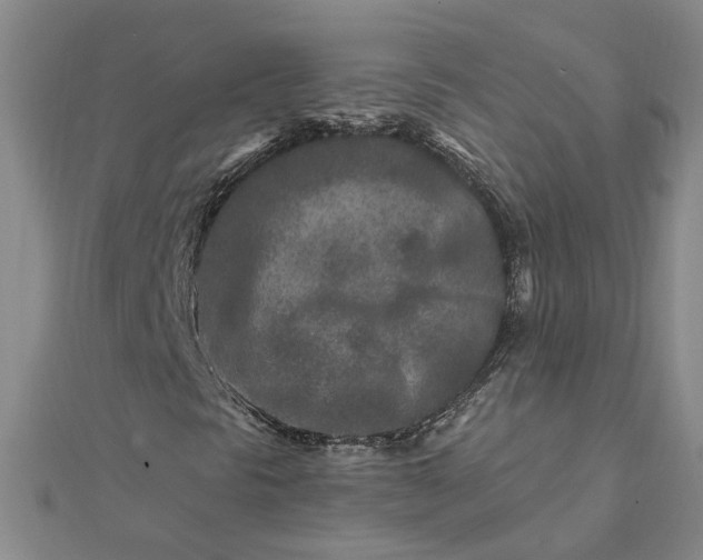 X0000111791297200908061128