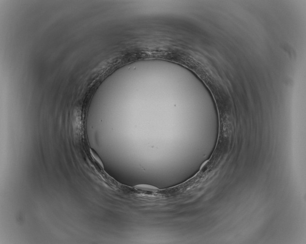 X0000111791298200908061128