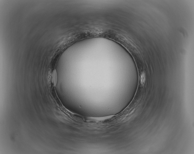 X0000111791299200908061128