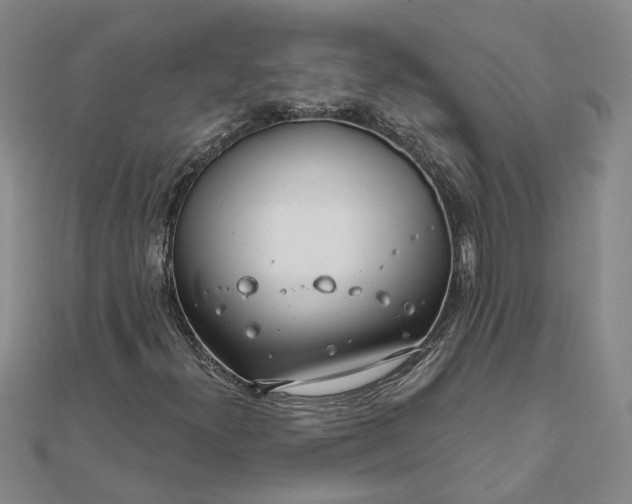 X0000111791300200908061128