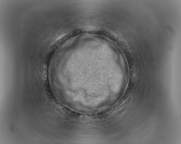 X0000111791301200908061128