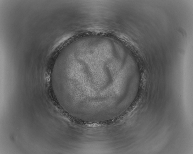 X0000111791302200908061128