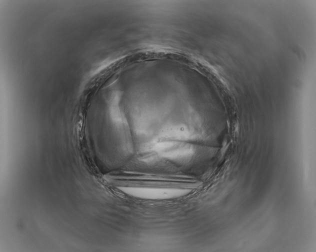 X0000111791303200908061128